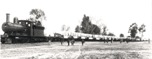 Steam locomotive pulling a long freight train through the Uruguayan countryside.