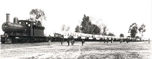 Steam locomotive pulling a long freight train through the Uruguayan countryside.
